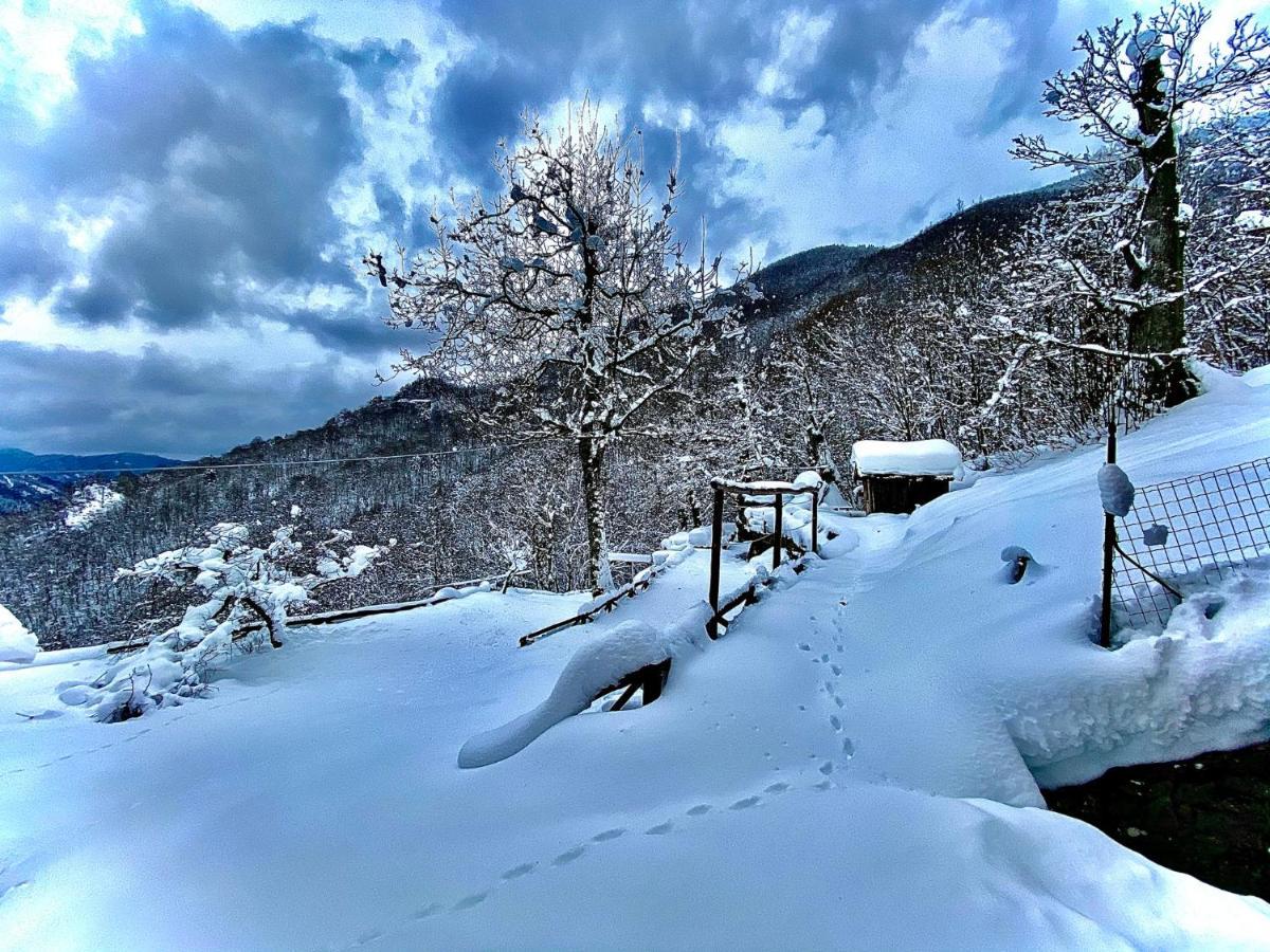 B&B La Presa Molino del Pallone Экстерьер фото